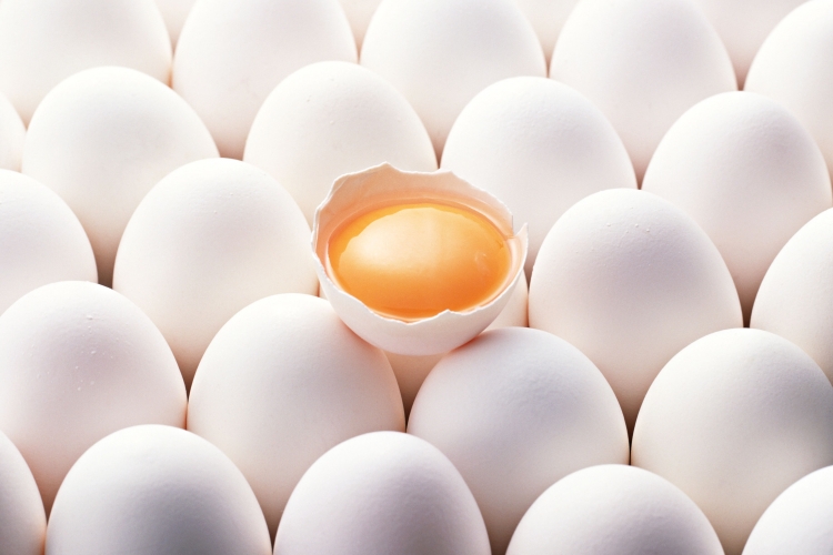 منتجات البيض المجمّدة